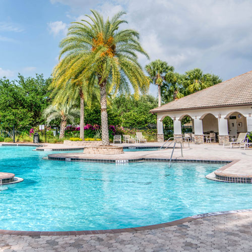 palm-tree-pool